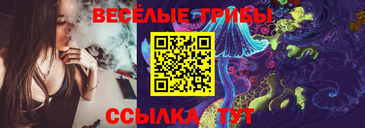 Богородск  Псилоцибиновые грибы Cubensis  Галлюциногенные грибы Psilocybe  Вход с VPN 